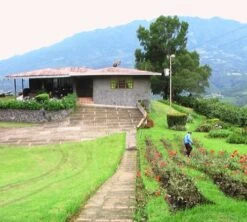 4x250g Café En Grain Bio La Esperanza - Cafés Lugat -Café Soldes Boutique cafe grains esperanza colombie 3