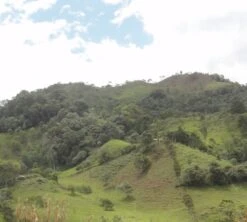 4x250g Café En Grain Bio La Esperanza - Cafés Lugat -Café Soldes Boutique cafe grains esperanza colombie 5