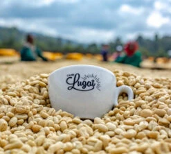 1 Kg Café En Grain Le Dark'n Sweet - Cafés Lugat -Café Soldes Boutique cafeengraincafeslugatmarque