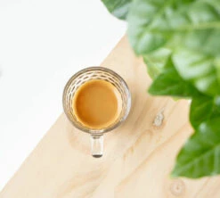 1kg Café En Grain Bio Mélange Savanah - GREEN LION COFFEE -Café Soldes Boutique cafeengraingreenlioncoffeeexpresso 3