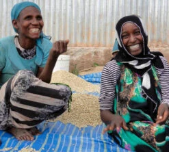 250 G- Café En Grain Dambi Uddo - LE PIANTAGIONI DEL CAFFE -Café Soldes Boutique cafeengrainlpdcdambiuddo1