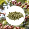 1 Kg - Café Vert Bio - Région Tolima - Amérique Du Sud - Lavé - Bio -Café Soldes Boutique colombietolima