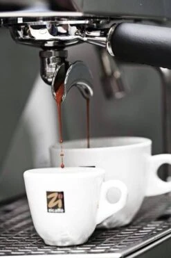 1 Kg Café En Grain Black Of Italy Zicaffè -Café Soldes Boutique espresso zicaffe