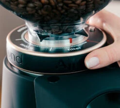 Moulin à Café Fiorenzato AllGround Noir Mat -Café Soldes Boutique fiorenzato allground reglages