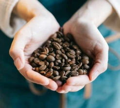 Café En Grains Brûlerie Du Cantin - Mélange Dégustation 100% Arabica - 250gr -Café Soldes Boutique lifestyle grain 2