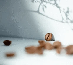 500g Café En Grain Bio Moka D'Ethiopie - CAFES RICHARD -Café Soldes Boutique specialtycoffee